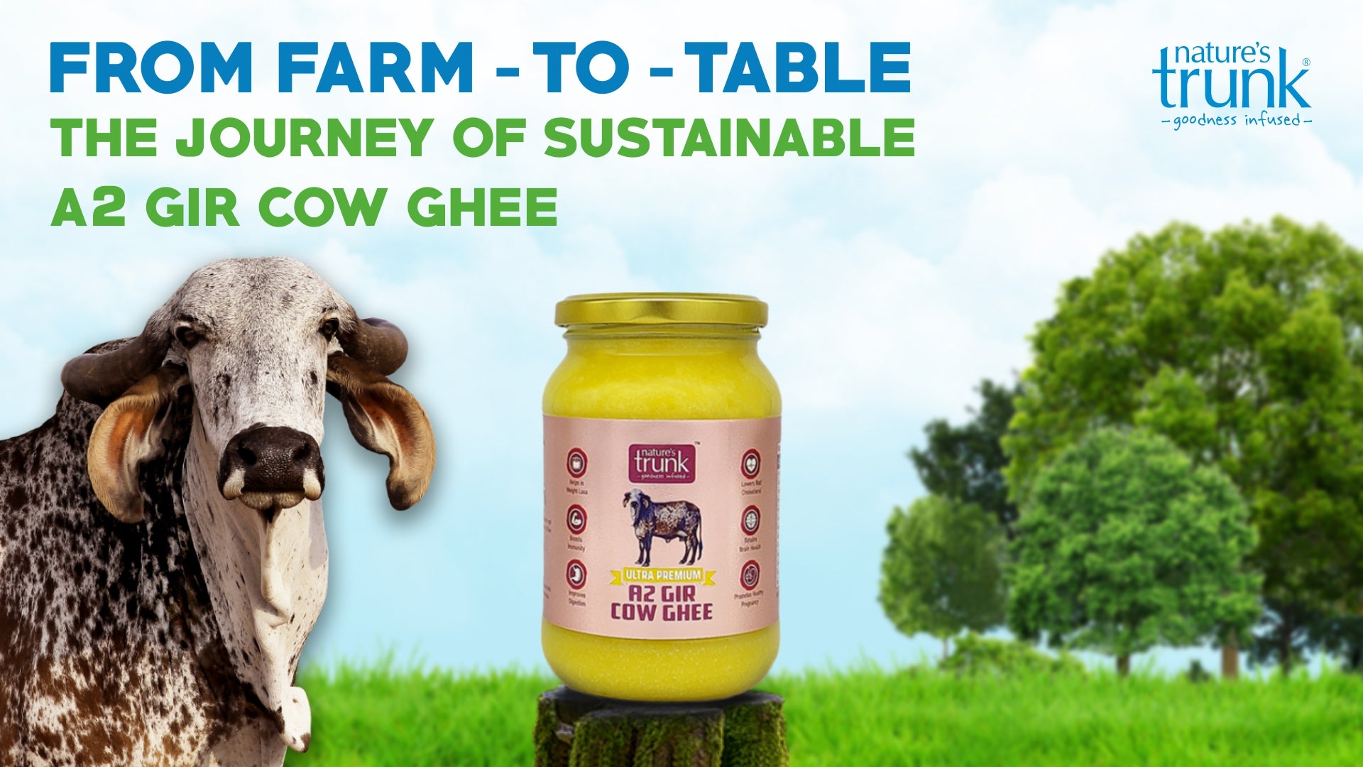 From Farm to Table: The Journey of Sustainable A2 Gir Cow Ghee